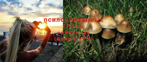 индика Нефтегорск
