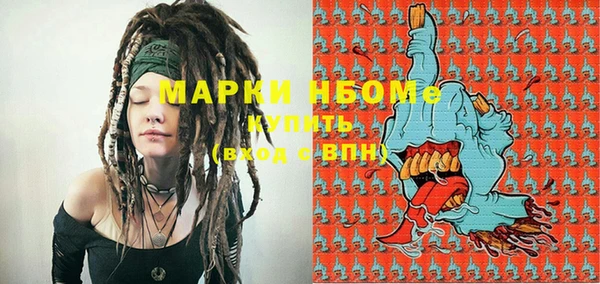 индика Нефтегорск