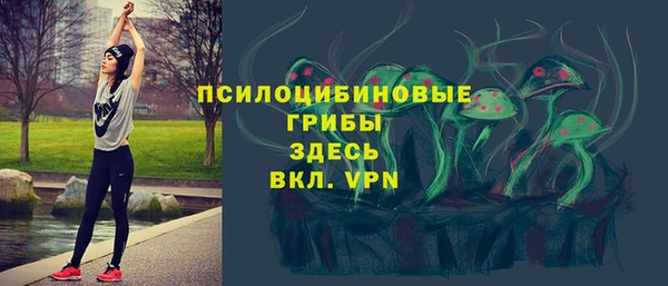 индика Нефтегорск