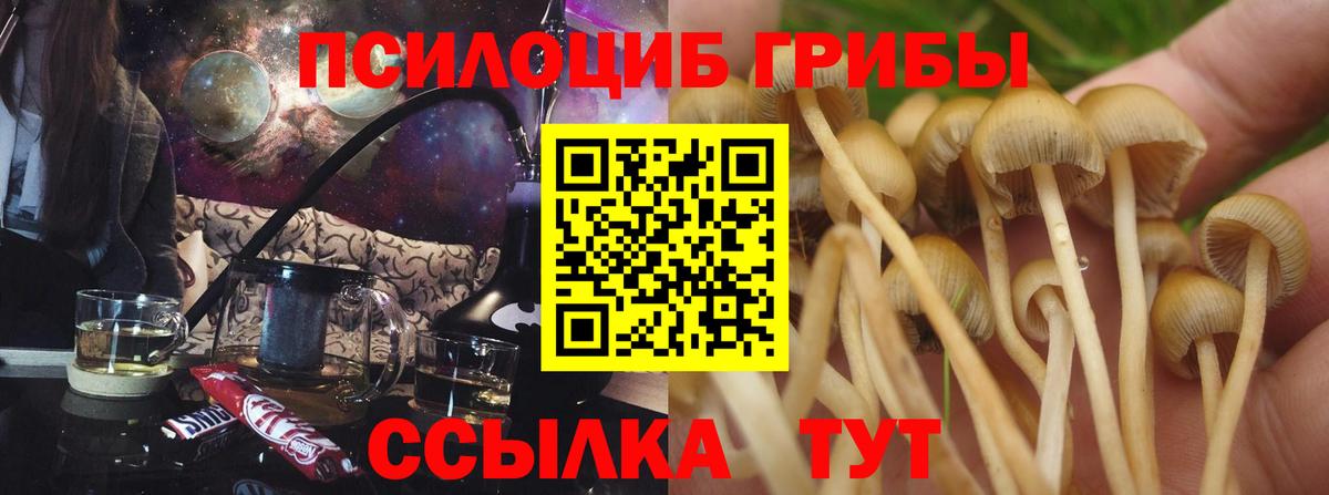 Галлюциногенные грибы Psilocybine cubensis  Вход с VPN  Саянск  как найти закладки  Галлюциногенные грибы MAGIC MUSHROOMS 