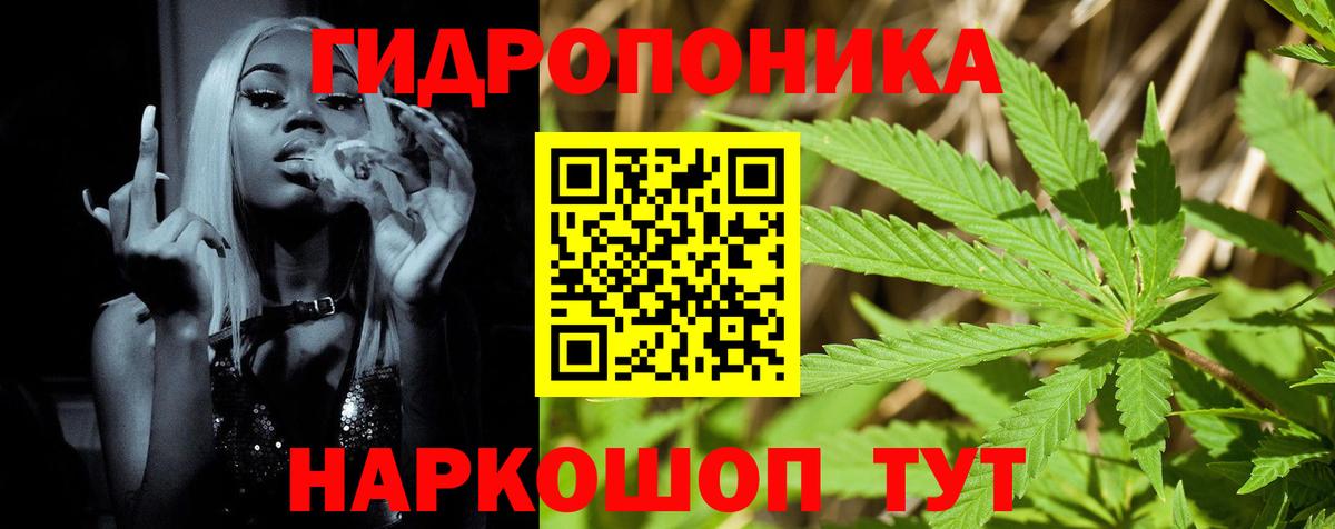Шишки марихуана конопля  Вход с VPN  Саянск  Каннабис Bruce Banner  Канабис сатива  Бошки марихуана Bruce Banner 